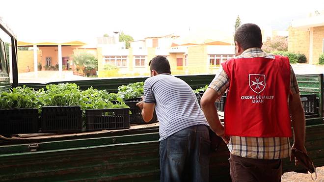 Les plants, triés et catégorisés, sont prêts à la distribution. Photos fournies par l’ordre de Malte